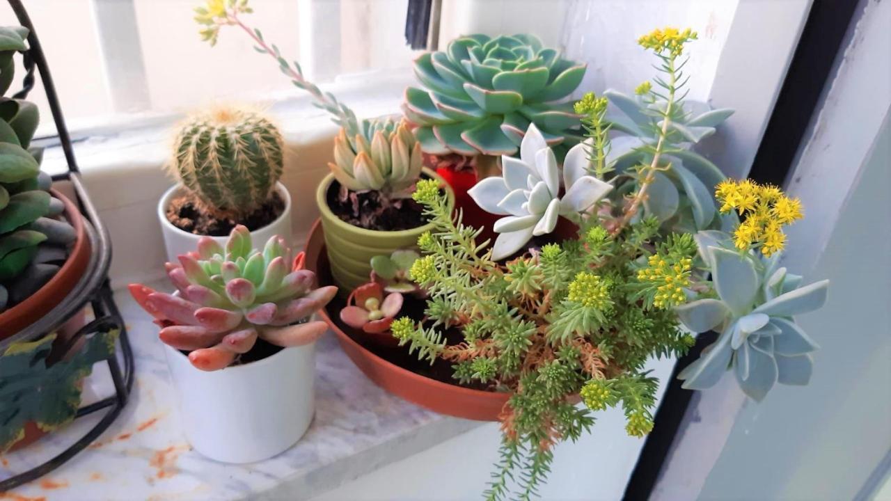 La Dimora Delle Divinita Ferienhaus Neapel